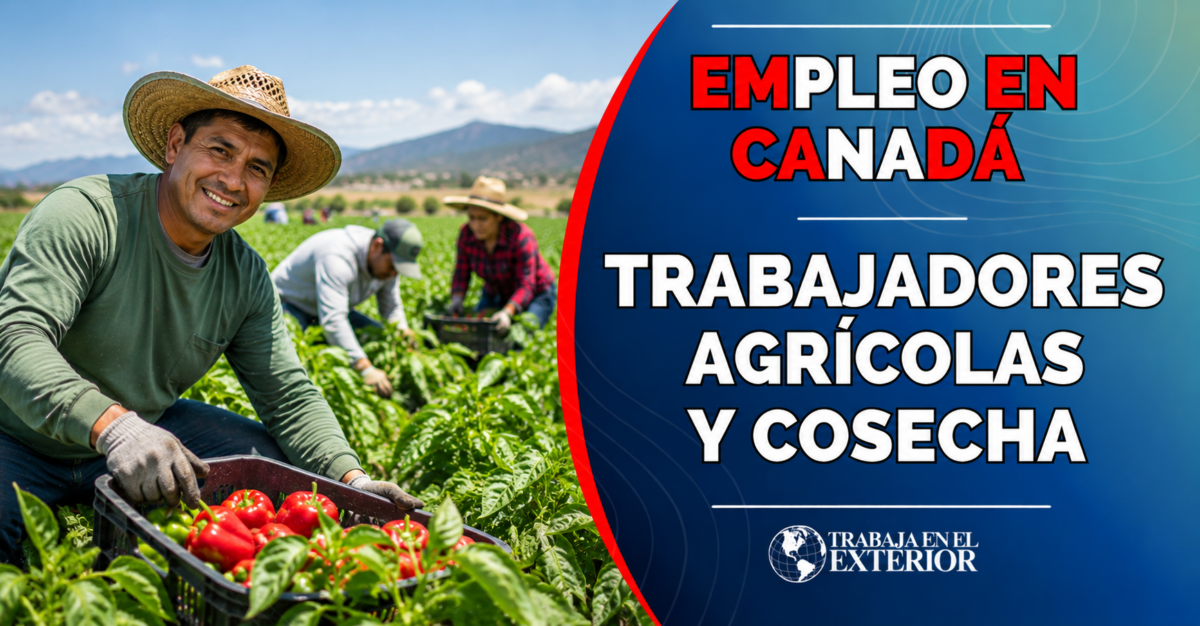 trabaja_en_canada_como_trabajador_agricola_y_cosecha